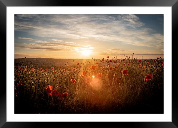 Poppy Field at Sunset Framed Mounted Print by J Biggadike