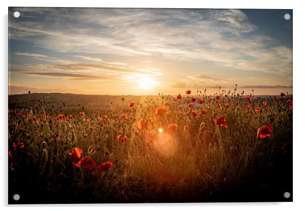 Poppy Field at Sunset Acrylic by J Biggadike