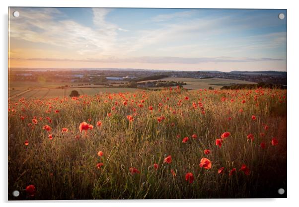 Poppy Field at Sunset Acrylic by J Biggadike