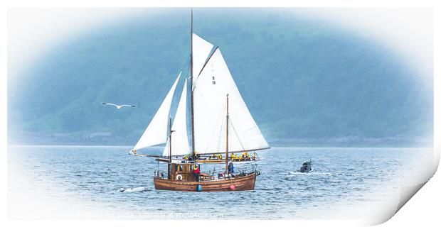 Classic Fife Yacht "The Lady Anne" and Puffer Print by Tylie Duff Photo Art