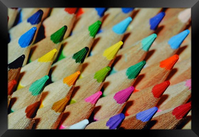 Coloured pencils  Framed Print by Stuart Jenner