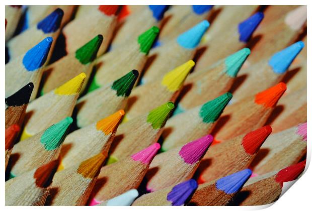 Coloured pencils  Print by Stuart Jenner