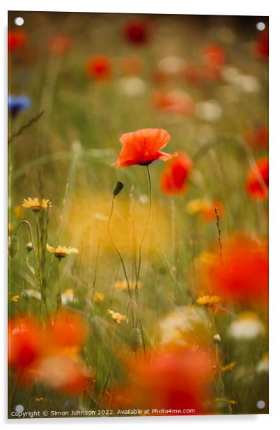 Poppy flower  Acrylic by Simon Johnson