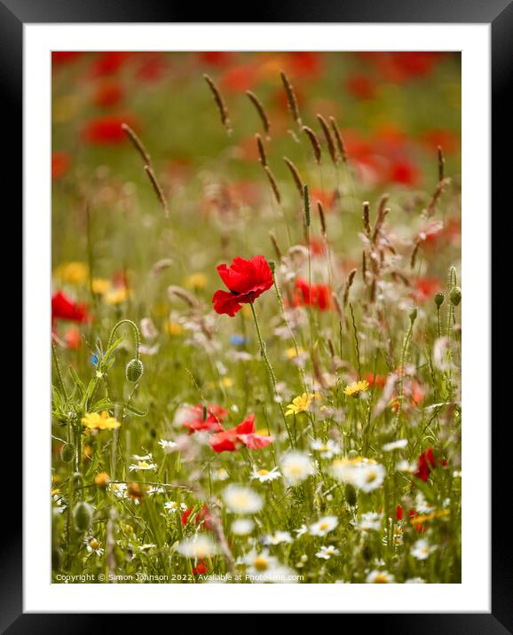 Meadow flowers  Framed Mounted Print by Simon Johnson