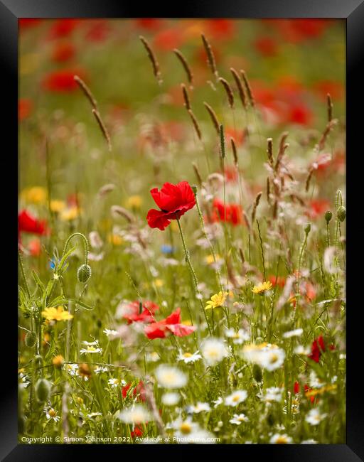 Meadow flowers  Framed Print by Simon Johnson