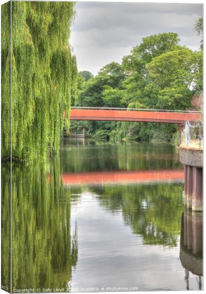 View of the Jarrold Bridge and Willows, Norwich Canvas Print by Sally Lloyd