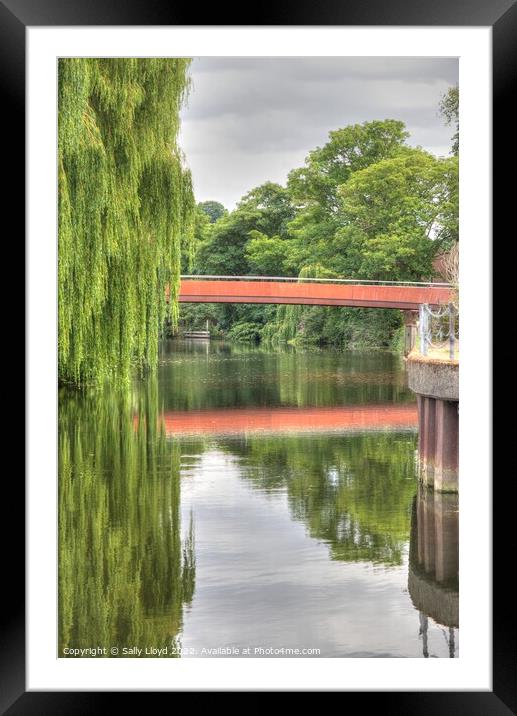 View of the Jarrold Bridge and Willows, Norwich Framed Mounted Print by Sally Lloyd
