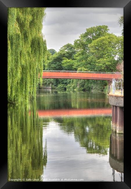 View of the Jarrold Bridge and Willows, Norwich Framed Print by Sally Lloyd