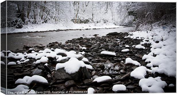 Snow on the River Bank Canvas Print by Andrew Berry