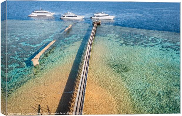 Scuba Dive Boats moored at Daedalus Reef, Red Sea, Canvas Print by Dave Collins