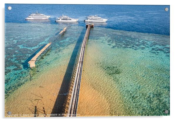 Scuba Dive Boats moored at Daedalus Reef, Red Sea, Acrylic by Dave Collins
