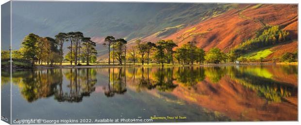 Buttermere in Morning Light Canvas Print by George Hopkins