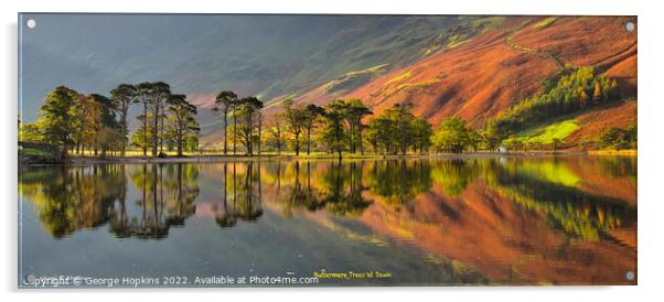 Buttermere in Morning Light Acrylic by George Hopkins