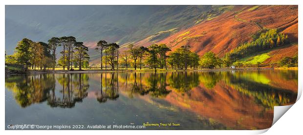 Buttermere in Morning Light Print by George Hopkins
