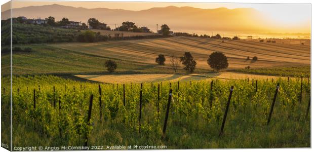 Tuscan landscape at golden hour Canvas Print by Angus McComiskey