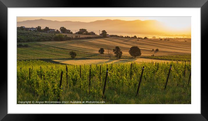 Tuscan landscape at golden hour Framed Mounted Print by Angus McComiskey