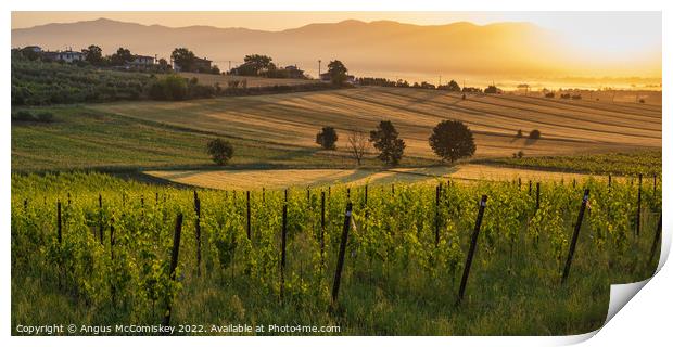Tuscan landscape at golden hour Print by Angus McComiskey