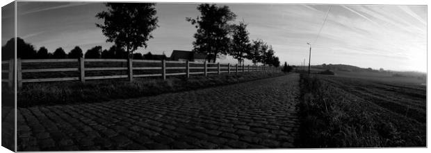 paving sett road in autumnal sunlight in black and white Canvas Print by youri Mahieu