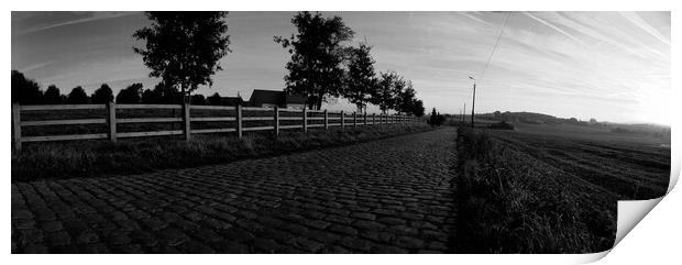 paving sett road in autumnal sunlight in black and white Print by youri Mahieu