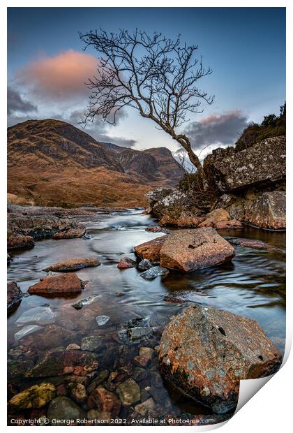 A lone tree over the River Coe Print by George Robertson
