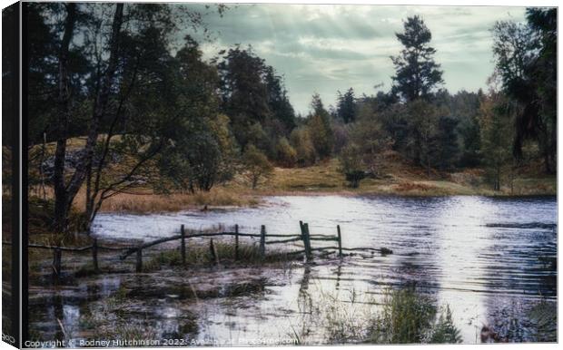 Tarn Hows Canvas Print by Rodney Hutchinson