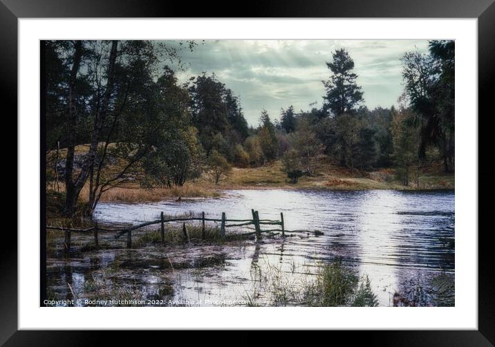 Tarn Hows Framed Mounted Print by Rodney Hutchinson