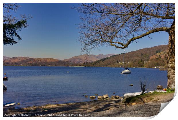 Lake Windermere view Print by Rodney Hutchinson