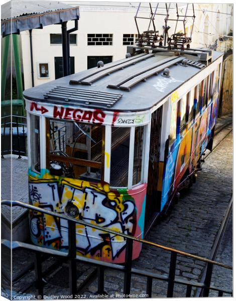 Graffiti on Lisbons Funicular Tram Canvas Print by Dudley Wood