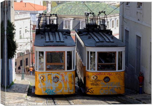 funicular trams Canvas Print by Dudley Wood