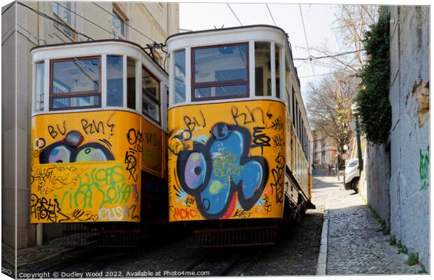 GraffitiClad Funicular Trams in Lisbon Canvas Print by Dudley Wood
