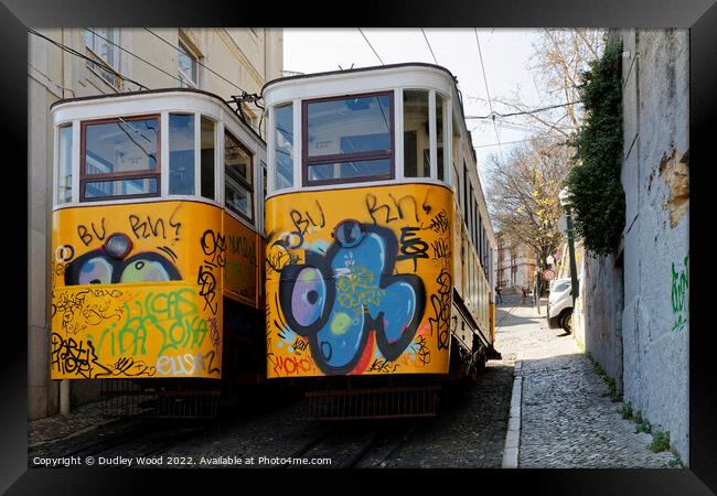 GraffitiClad Funicular Trams in Lisbon Framed Print by Dudley Wood
