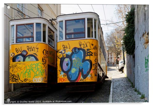 GraffitiClad Funicular Trams in Lisbon Acrylic by Dudley Wood