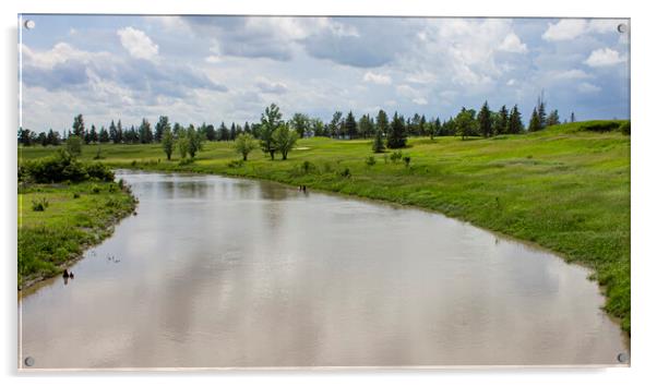 The La Salle River, Manitoba Acrylic by STEPHEN THOMAS