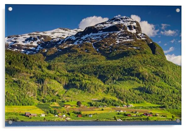 Farming Village in Nordfjord Norway Acrylic by Martyn Arnold