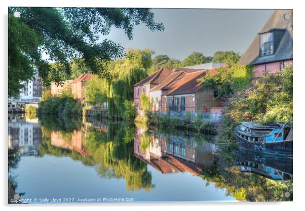 River Wensum Norwich Acrylic by Sally Lloyd