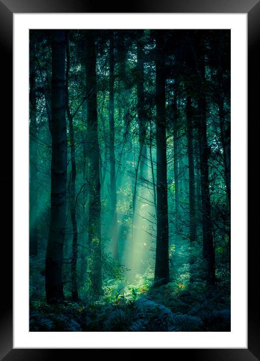 Fairy Light Framed Mounted Print by Colin Menniss