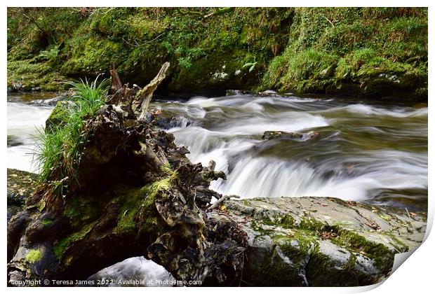 river flowing over rocks Print by Teresa James