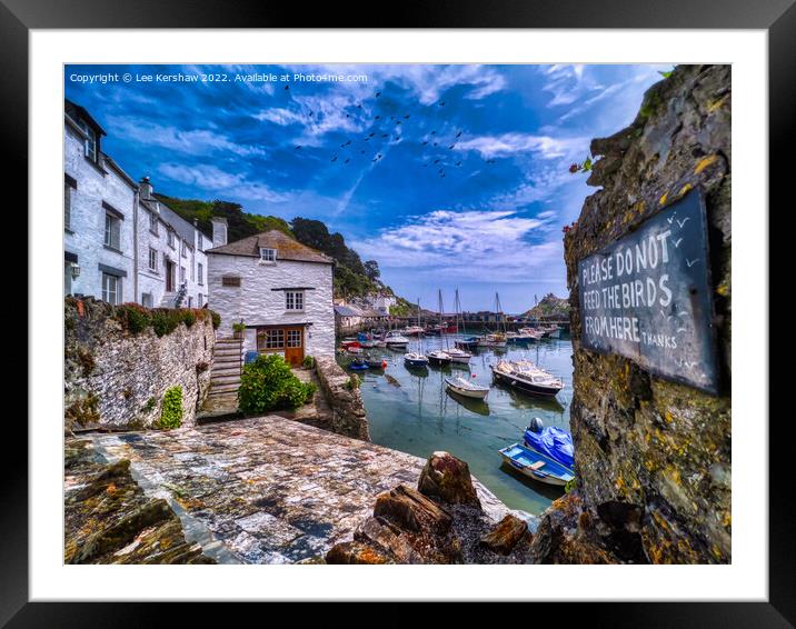 Please Don't Feed the Birds (at Polperro, Cornwall) Framed Mounted Print by Lee Kershaw