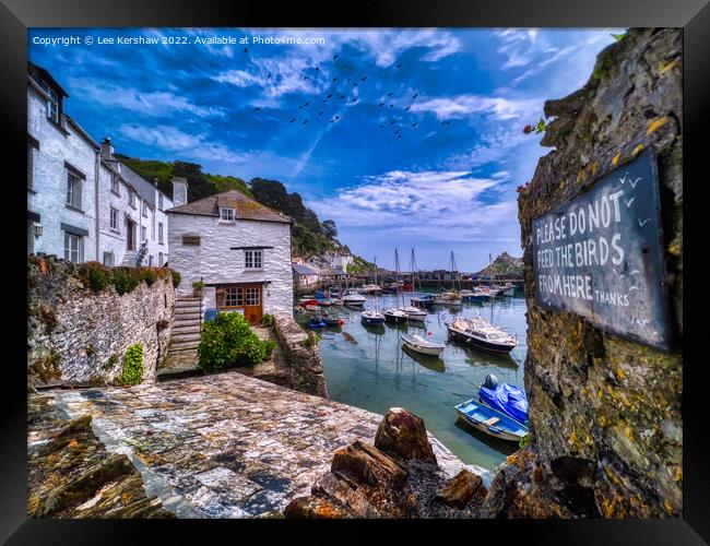 Please Don't Feed the Birds (at Polperro, Cornwall) Framed Print by Lee Kershaw