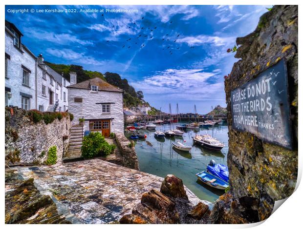 Please Don't Feed the Birds (at Polperro, Cornwall) Print by Lee Kershaw