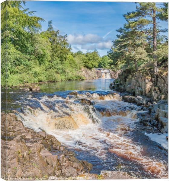 Summer Morning at Low Force Waterfall (2) Canvas Print by Richard Laidler