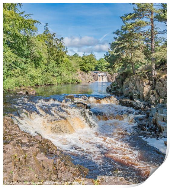 Summer Morning at Low Force Waterfall (2) Print by Richard Laidler