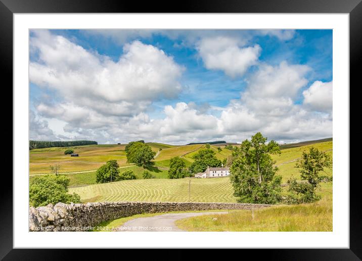 Hay Time at Dirt Pit Farm, Ettersgill, Teesdale Framed Mounted Print by Richard Laidler