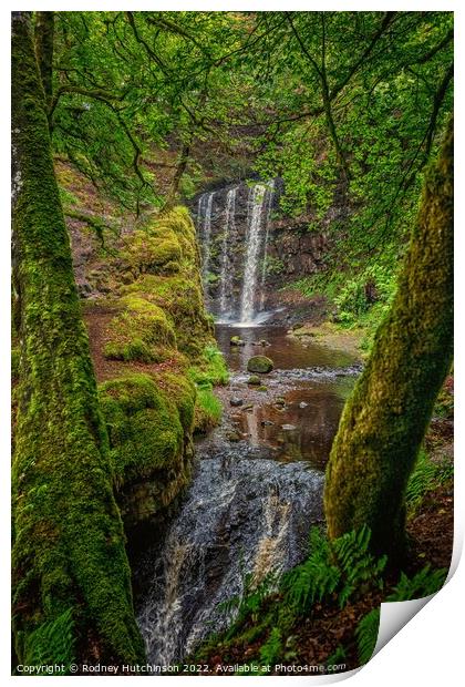 A waterfall in a forest Print by Rodney Hutchinson