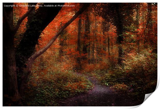 The Magic Of Autumn Print by Christine Lake