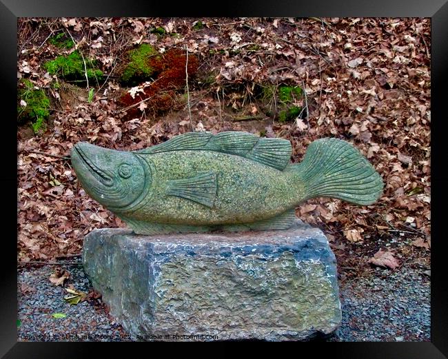 Statue #20 sculpture of a fish Framed Print by Stephanie Moore