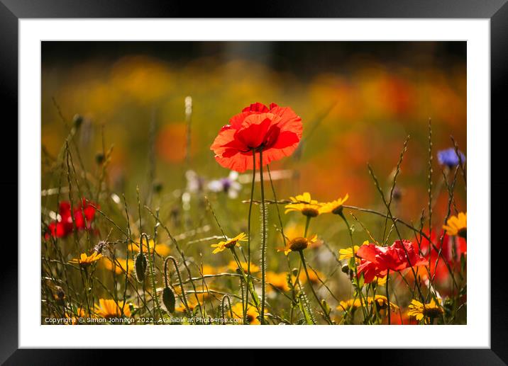 Kissing Poppies Framed Mounted Print by Simon Johnson