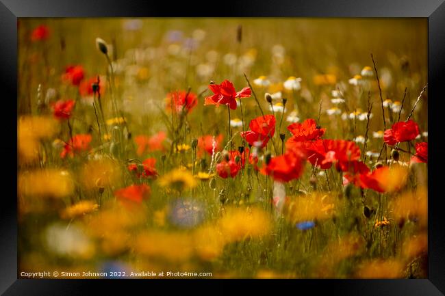 Poppys and meadow flowers  Framed Print by Simon Johnson