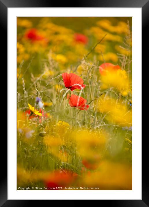 Poppy  flower Framed Mounted Print by Simon Johnson