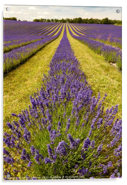 Lavender  fields Acrylic by Simon Johnson